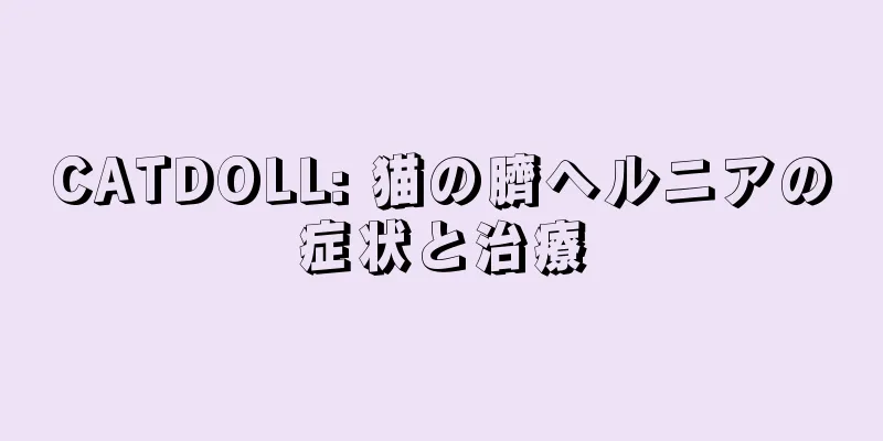 CATDOLL: 猫の臍ヘルニアの症状と治療