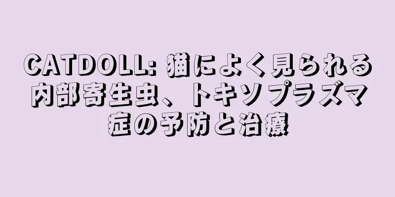 CATDOLL: 猫によく見られる内部寄生虫、トキソプラズマ症の予防と治療