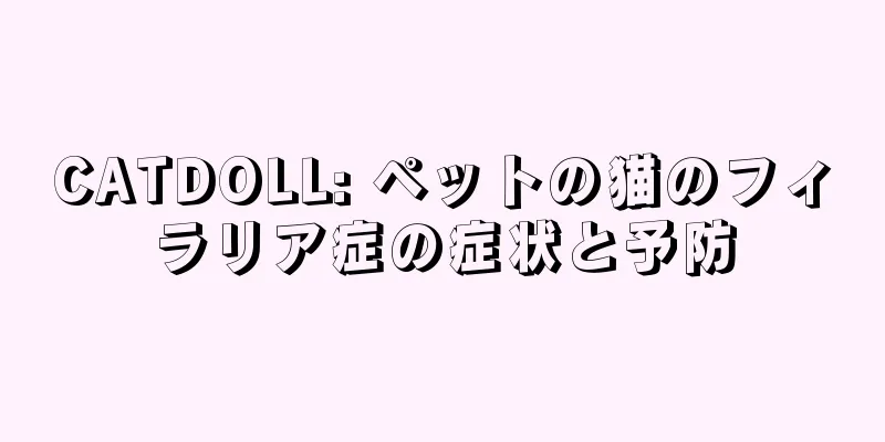 CATDOLL: ペットの猫のフィラリア症の症状と予防