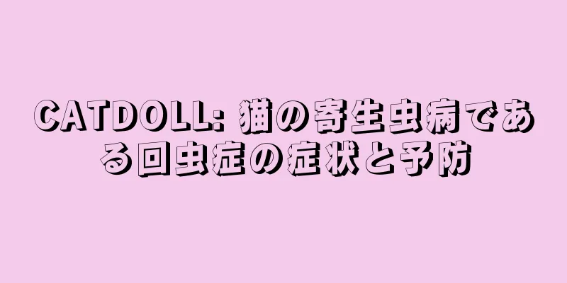 CATDOLL: 猫の寄生虫病である回虫症の症状と予防
