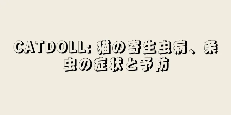 CATDOLL: 猫の寄生虫病、条虫の症状と予防