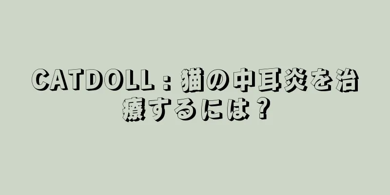 CATDOLL : 猫の中耳炎を治療するには？