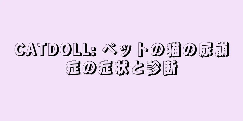 CATDOLL: ペットの猫の尿崩症の症状と診断
