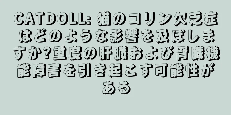 CATDOLL: 猫のコリン欠乏症はどのような影響を及ぼしますか?重度の肝臓および腎臓機能障害を引き起こす可能性がある
