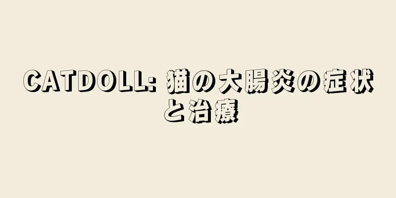 CATDOLL: 猫の大腸炎の症状と治療