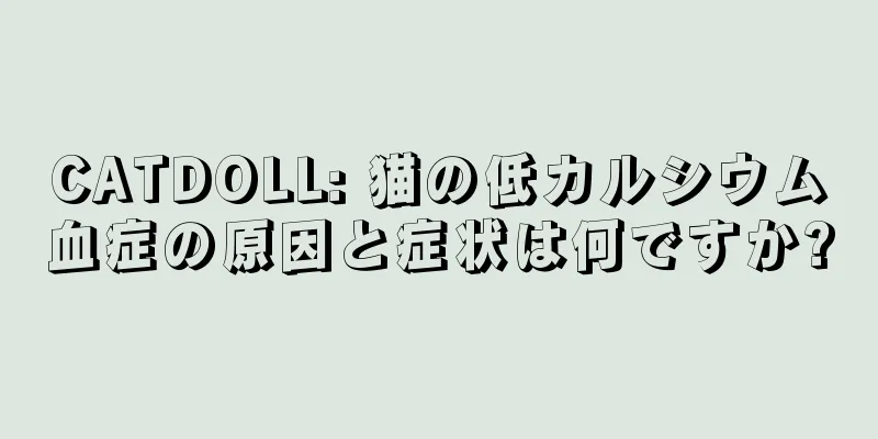 CATDOLL: 猫の低カルシウム血症の原因と症状は何ですか?