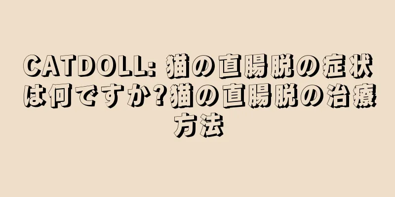 CATDOLL: 猫の直腸脱の症状は何ですか?猫の直腸脱の治療方法