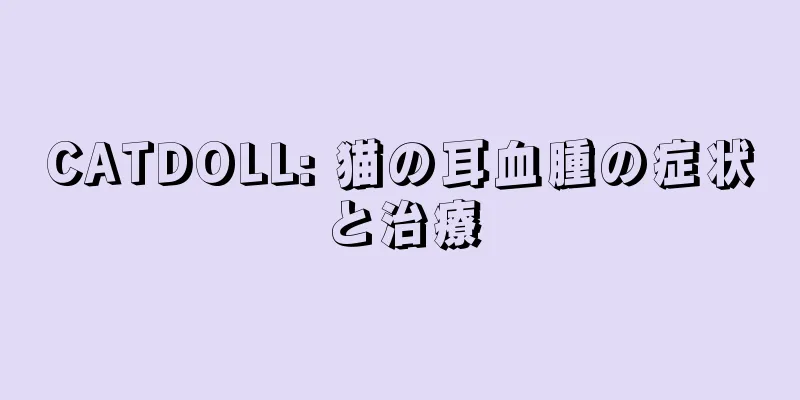 CATDOLL: 猫の耳血腫の症状と治療