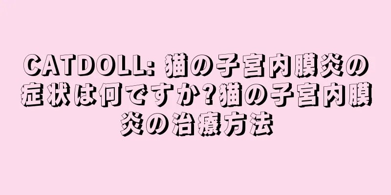 CATDOLL: 猫の子宮内膜炎の症状は何ですか?猫の子宮内膜炎の治療方法