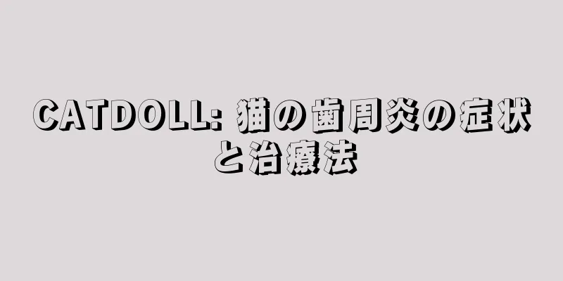 CATDOLL: 猫の歯周炎の症状と治療法