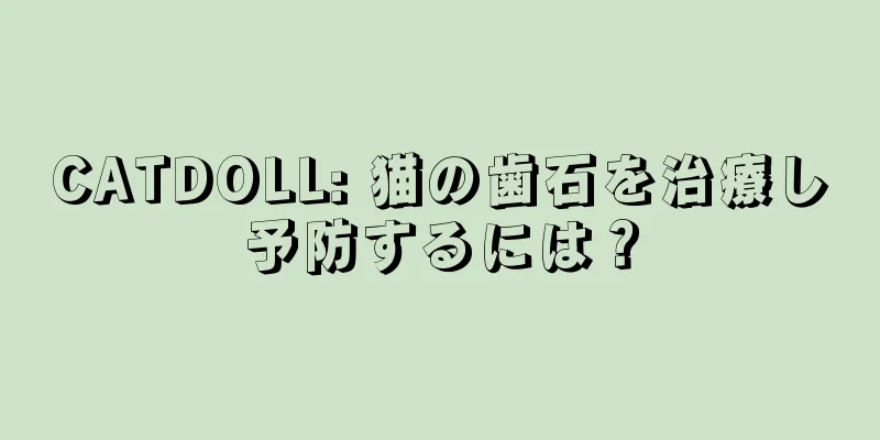 CATDOLL: 猫の歯石を治療し予防するには？