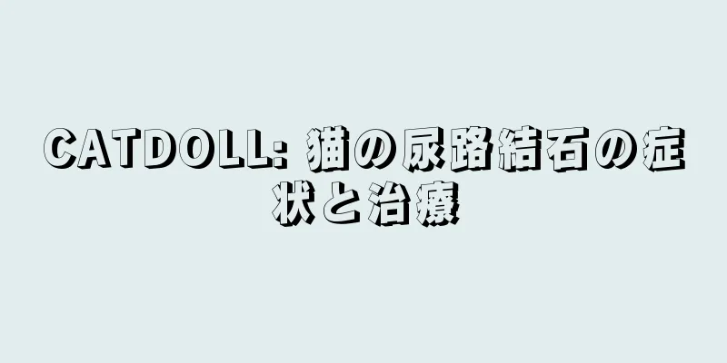 CATDOLL: 猫の尿路結石の症状と治療