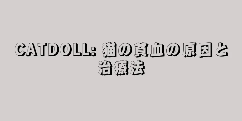 CATDOLL: 猫の貧血の原因と治療法