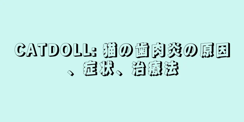 CATDOLL: 猫の歯肉炎の原因、症状、治療法