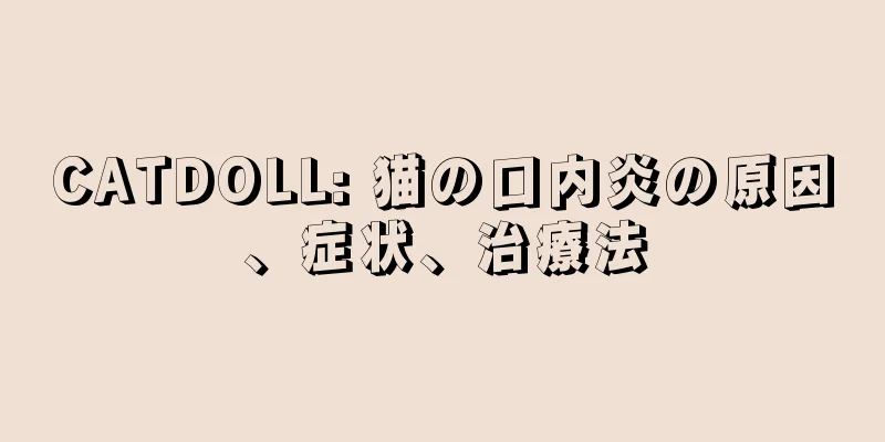 CATDOLL: 猫の口内炎の原因、症状、治療法