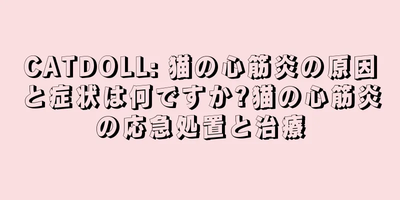 CATDOLL: 猫の心筋炎の原因と症状は何ですか?猫の心筋炎の応急処置と治療