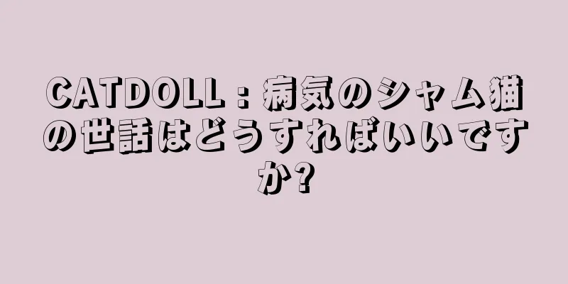 CATDOLL : 病気のシャム猫の世話はどうすればいいですか?