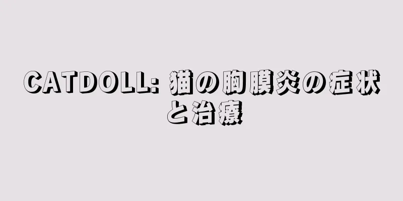 CATDOLL: 猫の胸膜炎の症状と治療