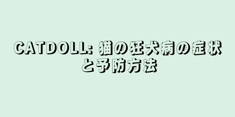 CATDOLL: 猫の狂犬病の症状と予防方法