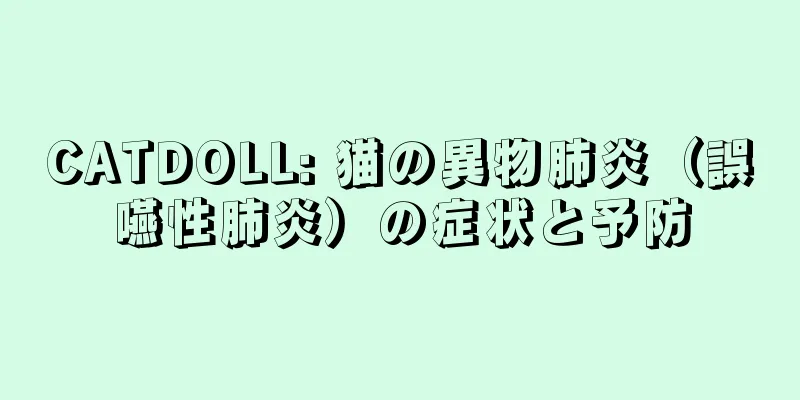 CATDOLL: 猫の異物肺炎（誤嚥性肺炎）の症状と予防