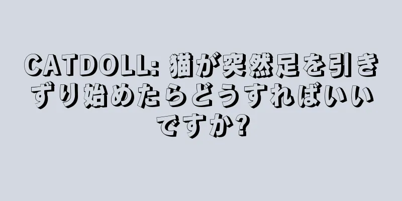 CATDOLL: 猫が突然足を引きずり始めたらどうすればいいですか?
