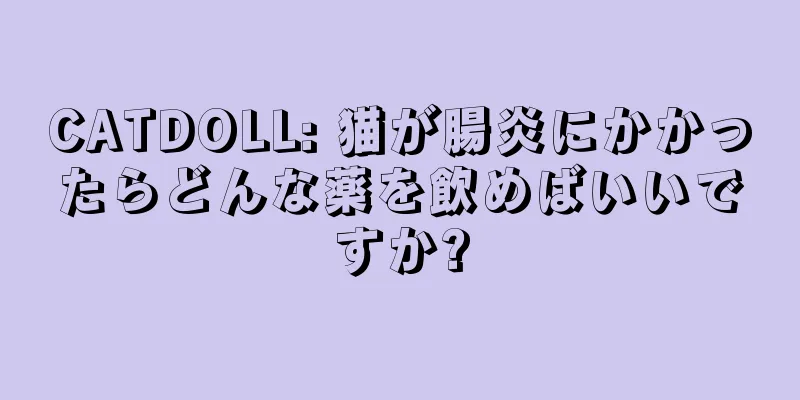 CATDOLL: 猫が腸炎にかかったらどんな薬を飲めばいいですか?