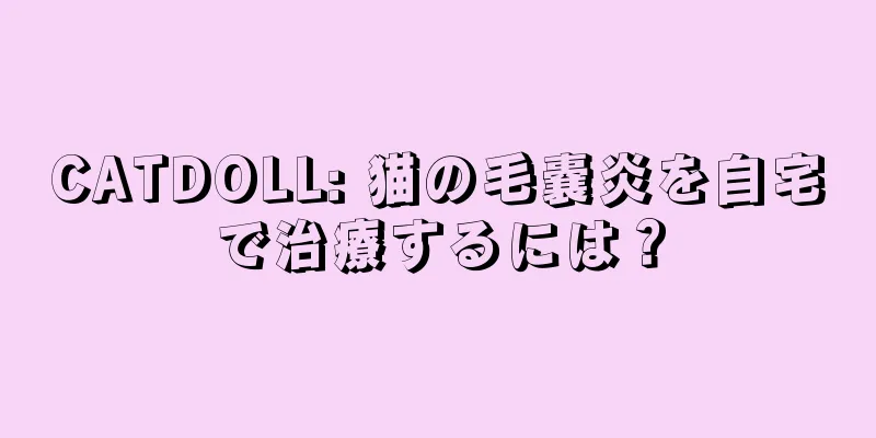 CATDOLL: 猫の毛嚢炎を自宅で治療するには？