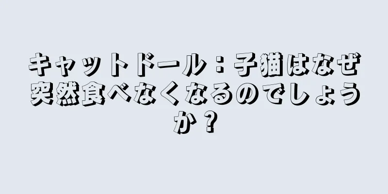キャットドール：子猫はなぜ突然食べなくなるのでしょうか？
