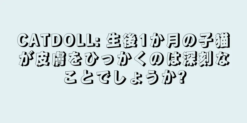 CATDOLL: 生後1か月の子猫が皮膚をひっかくのは深刻なことでしょうか?