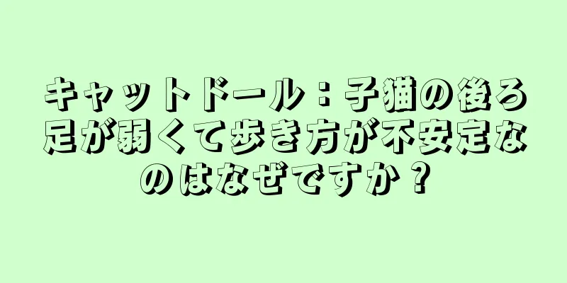 キャットドール：子猫の後ろ足が弱くて歩き方が不安定なのはなぜですか？
