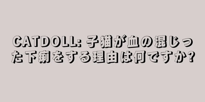 CATDOLL: 子猫が血の混じった下痢をする理由は何ですか?