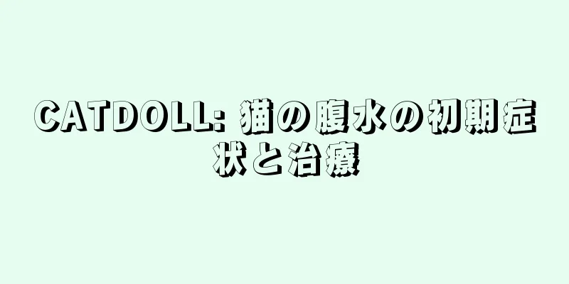 CATDOLL: 猫の腹水の初期症状と治療