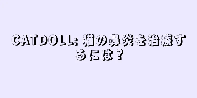 CATDOLL: 猫の鼻炎を治療するには？