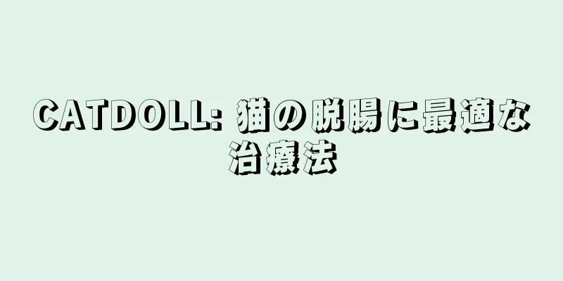 CATDOLL: 猫の脱腸に最適な治療法