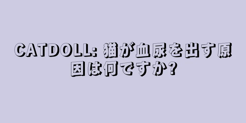 CATDOLL: 猫が血尿を出す原因は何ですか?