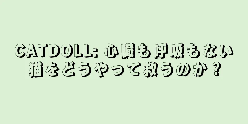 CATDOLL: 心臓も呼吸もない猫をどうやって救うのか？