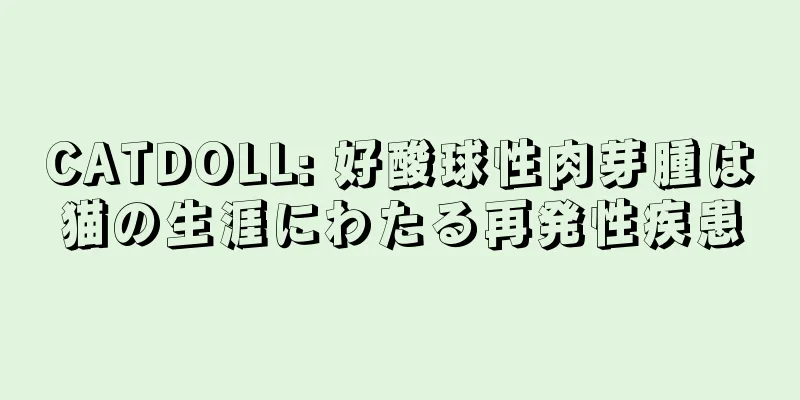 CATDOLL: 好酸球性肉芽腫は猫の生涯にわたる再発性疾患