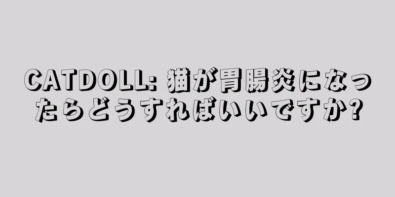 CATDOLL: 猫が胃腸炎になったらどうすればいいですか?