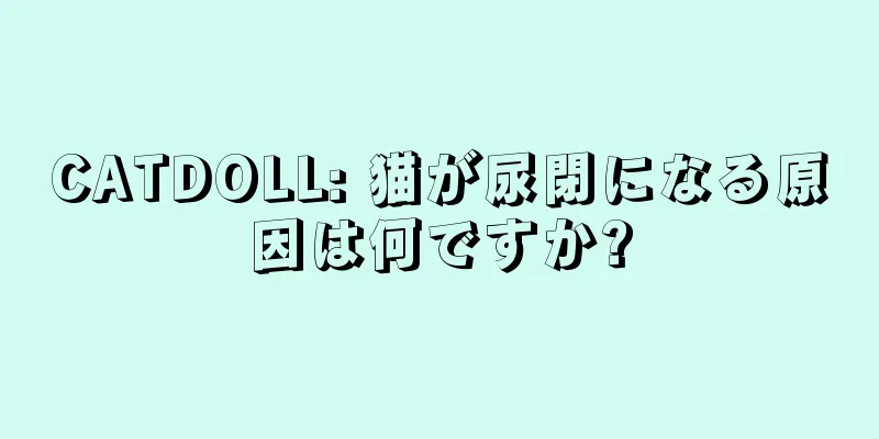 CATDOLL: 猫が尿閉になる原因は何ですか?