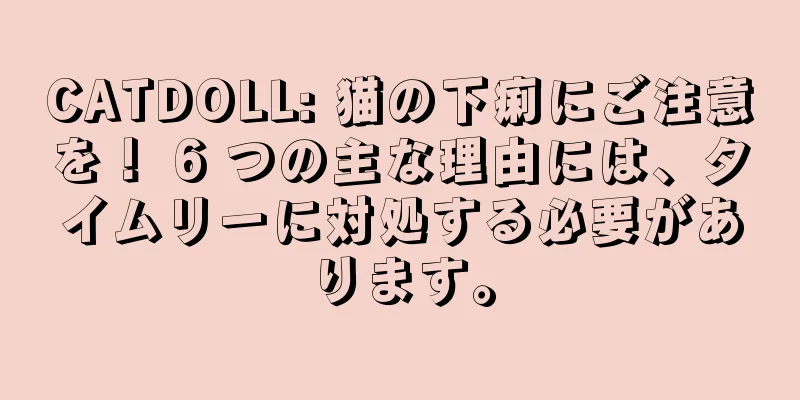 CATDOLL: 猫の下痢にご注意を！ 6 つの主な理由には、タイムリーに対処する必要があります。