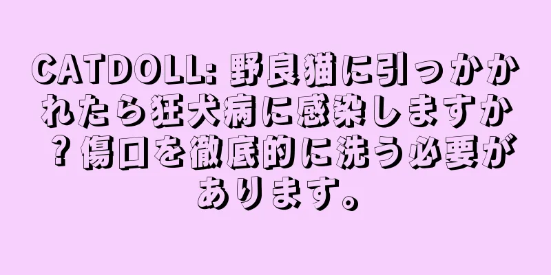 CATDOLL: 野良猫に引っかかれたら狂犬病に感染しますか？傷口を徹底的に洗う必要があります。