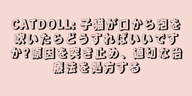 CATDOLL: 子猫が口から泡を吹いたらどうすればいいですか?原因を突き止め、適切な治療法を処方する