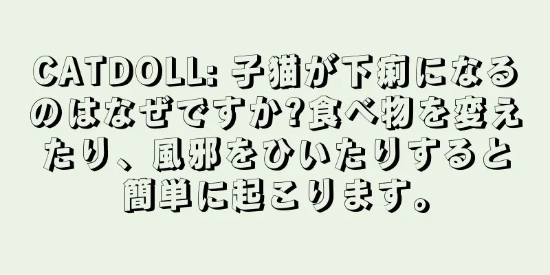 CATDOLL: 子猫が下痢になるのはなぜですか?食べ物を変えたり、風邪をひいたりすると簡単に起こります。