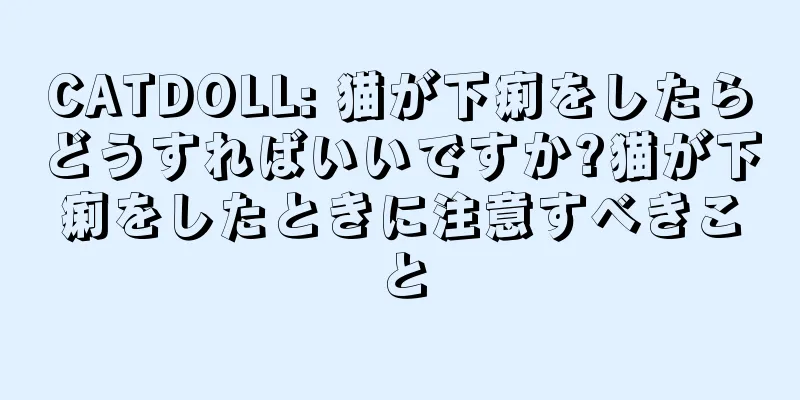CATDOLL: 猫が下痢をしたらどうすればいいですか?猫が下痢をしたときに注意すべきこと