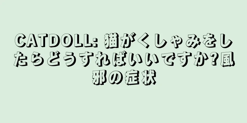 CATDOLL: 猫がくしゃみをしたらどうすればいいですか?風邪の症状