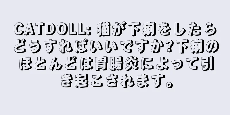 CATDOLL: 猫が下痢をしたらどうすればいいですか?下痢のほとんどは胃腸炎によって引き起こされます。