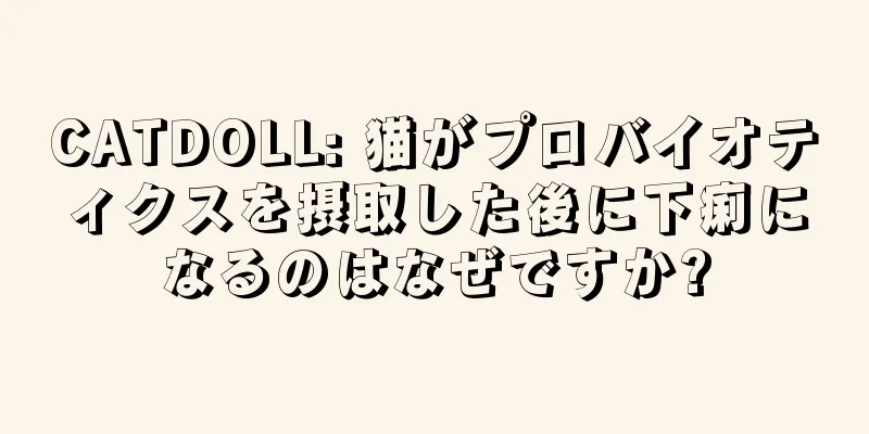CATDOLL: 猫がプロバイオティクスを摂取した後に下痢になるのはなぜですか?