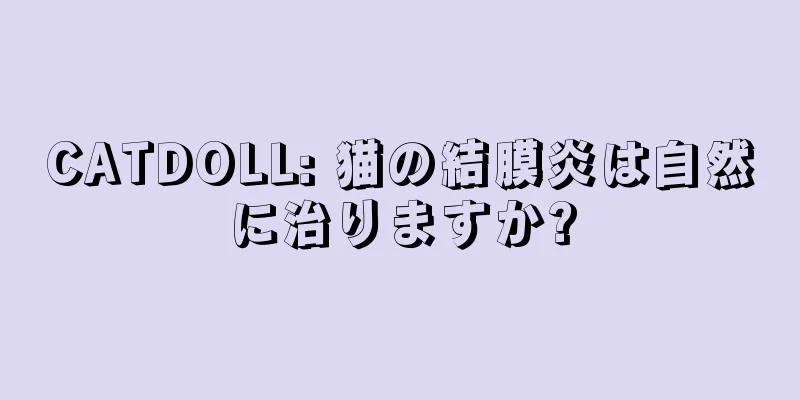 CATDOLL: 猫の結膜炎は自然に治りますか?
