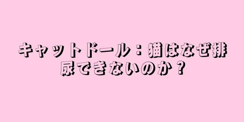 キャットドール：猫はなぜ排尿できないのか？
