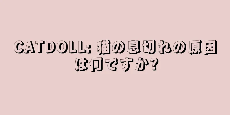 CATDOLL: 猫の息切れの原因は何ですか?